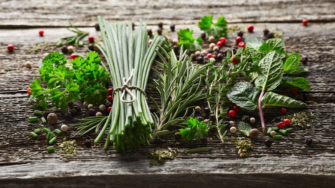 Magia Aromatów: Odkryj Sekret Polskich Ziół i Przypraw, Które Odmienią Twoją Kuchnię!