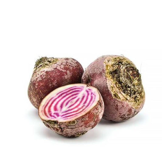 Burak kolorowy Chioggia 0,5kg